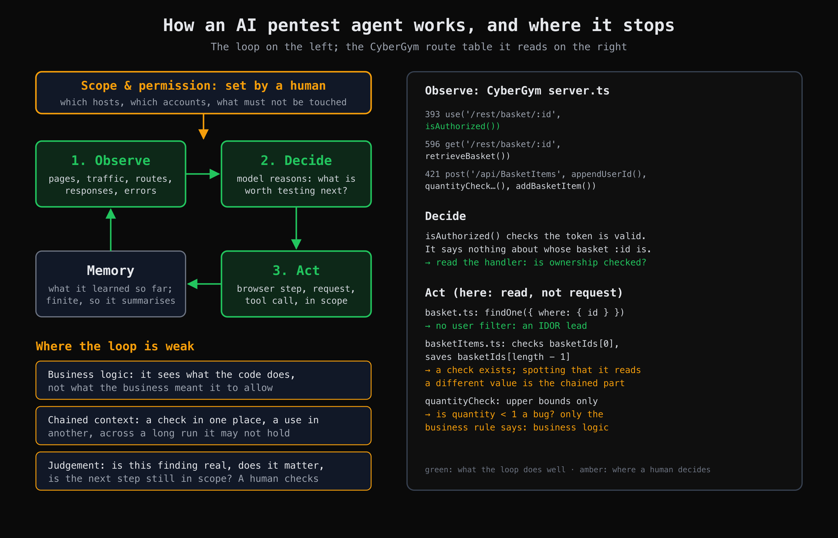 AI pentest agent loop (observe, decide, act, memory) and its limits, traced on CyberGym's basket routes
