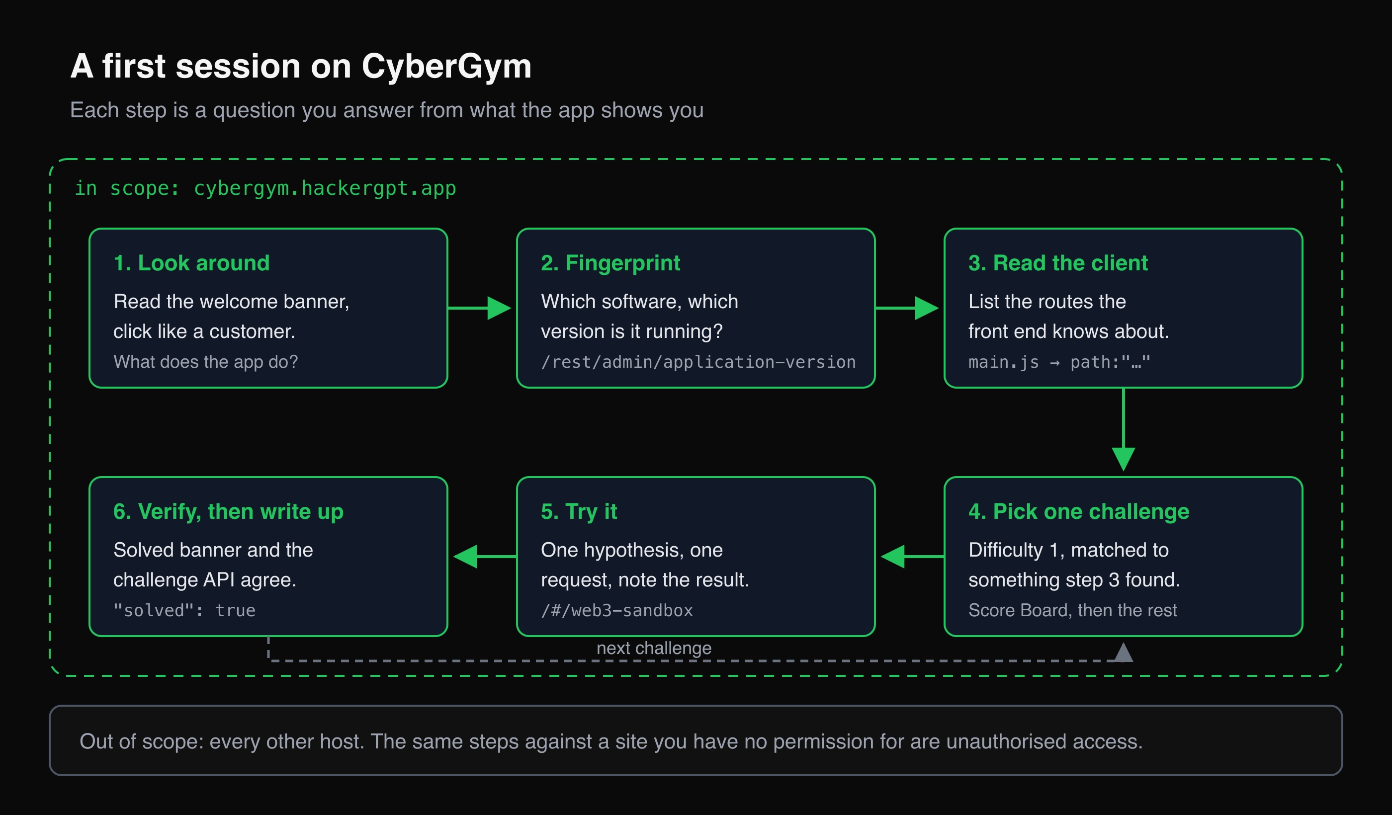 Six-step loop for a first CyberGym session, from looking around to verifying a solved challenge, scoped to CyberGym